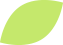 Lime-leaf-graphic